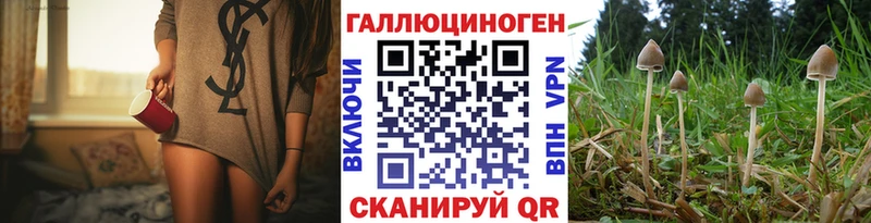 магазин  наркотиков  Дзержинск  Галлюциногенные грибы прущие грибы 